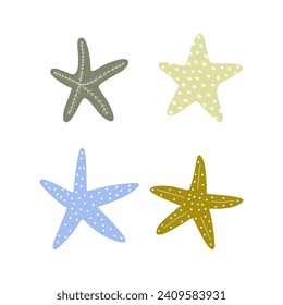 Starfish. Atlantic star. Marine Animal Vector illustration on white background.