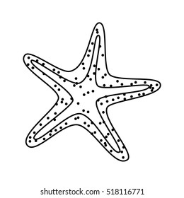 starfish beach isolated icon vector illustration design