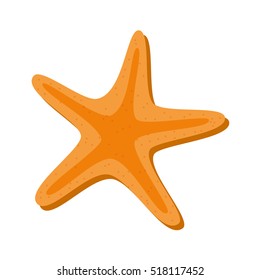 starfish beach isolated icon vector illustration design