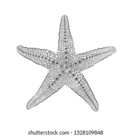 starfish black and white
