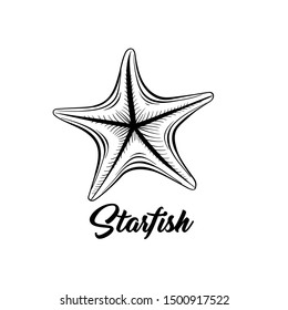 Starfish black and white vector illustration. Sealife saltwater creature freehand drawing. Marine fauna, oceanic invertebrate animal hand drawn engraving with calligraphy. Postcard design element