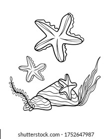 starfish book coloring graphic isolate on white background vector doodle sketch outline for kids print