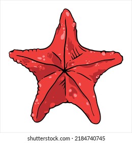 Starfish, cartoon style. Ink Sea Star, isolated on white. Hand drawn vector illustration