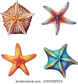 Starfish Clipkunst, einzelne Vektorgrafik.