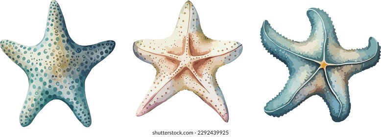 Starfish clipart, isolated vector illustration.