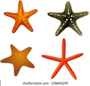 Starfish collection