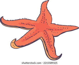 Starfish color sketch. Red underwater animal doodle