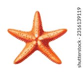 starfish colored 3d detailed illustration