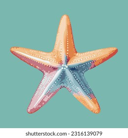 starfish colored 3d detailed illustration