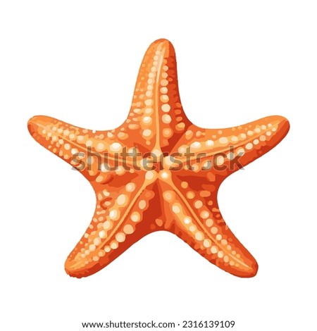 starfish colored 3d detailed illustration