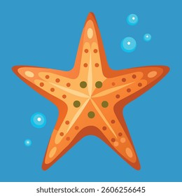 A starfish colorful vector illustration.
