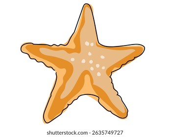 Starfish in continuous line drawing on a white background.