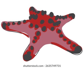 Starfish in continuous line drawing on a white background.