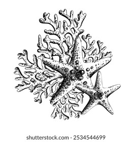 Starfish with coral branches. Hand drawn graphic illustration in black and white color line art. Sublimation, arrangement, composition on a marine theme