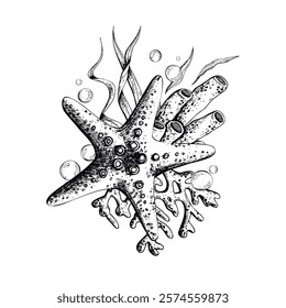 Starfish, coral, sea sponge, algae and bubbles. Hand drawn graphic illustration in black and white color line art. Sublimation arrangement on marine theme