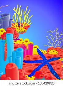starfish with corals