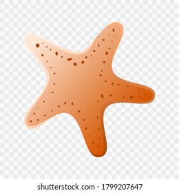 starfish, cute sea animals. Vector Illustration