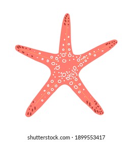 Starfish cute vector illustration. Hand drawn pink starfish isolated on a white background. Vector Illustration for poster, fabric, print, textile, wrappert. Sea. Ocean