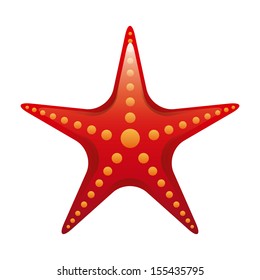 starfish design over white background vector illustration