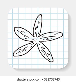 Starfish doodle