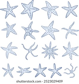 Starfish doodle illustration for decoration on summer, marine life, aquarium and ocean concept.