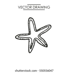 starfish drawing. vector illustration