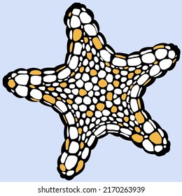 Starfish. Duotone. Black and light orange. On light blue background.