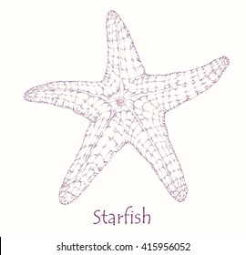 Starfish, engraving style. Ink Sea Star, isolated on white. Hand drawn vector illustration