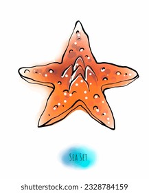 Starfish, fish, shell, on a white background, color art in a nautical style. Aquarium fish, water, beach theme, exotic animals