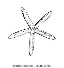 A starfish with five elongated arms and a dotted texture. Sea star hand drawn vector illustration painted by black ink. Sketch in line art style isolated on white background. For cards packages labels