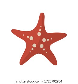 Starfish flat icon. Colorful illustration of starfish. Vector.