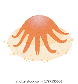 Starfish flat illustration isolated on white background. Cartoon underwater creature on the sand.