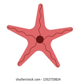 starfish flat illustration on white