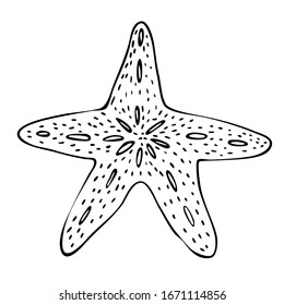 Starfish. Flat image. Doodle element for the design. Vector.