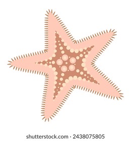 Starfish flat style. Cute Pink Starfish icon. Sea animal cartoon style. Echinoderm. Underwater Marine icon Isolated on white background. Summer vector illustration