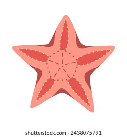 Starfish flat style. Red Starfish icon. Sea animal cartoon style. Echinoderm. Underwater Marine icon Isolated on white background. Summer vector illustration