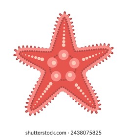 Starfish flat style. Red Starfish icon. Sea animal cartoon style. Echinoderm. Underwater Marine icon Isolated on white background. Summer vector illustration