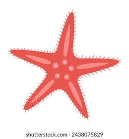 Starfish flat style. Red Starfish icon. Sea animal cartoon style. Echinoderm. Underwater Marine icon Isolated on white background. Summer vector illustration