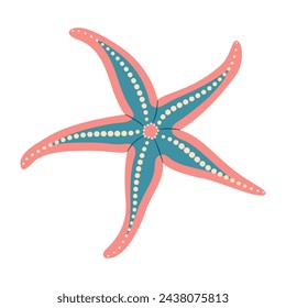 Starfish flat style. Royal Starfish icon. Sea animal cartoon style. Echinoderm. Underwater Marine icon Isolated on white background. Summer vector illustration