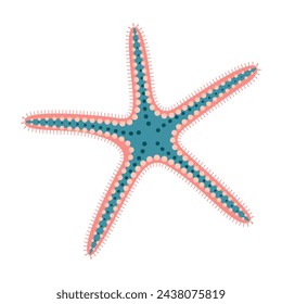 Starfish flat style. Sand Sifting Starfish icon. Sea animal cartoon style. Echinoderm. Underwater Marine icon Isolated on white background. Summer vector illustration