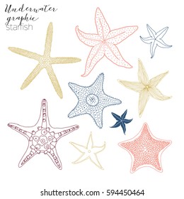 starfish graphic collection