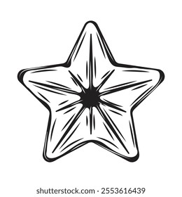 Starfish Hand Drawn Illustration - 06