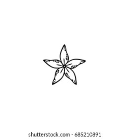 Starfish, hand drawn illustration, vector 