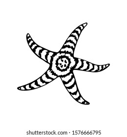 Starfish hand drawn sketch isolated on white. Black and white sea creature coloring page template. Vector illustration.