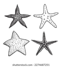 Starfish hand drawn sketch style set. Nature ocean aquatic underwater collection. Marine  fauna engraving illustrations on white background.