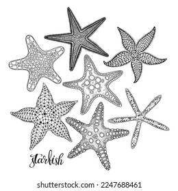 Starfish. Hand drawn vector collection, 7 isolated  elements on white background. Perfect for menu decoration, invitation, card, poster and as a design element.