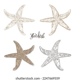 Starfish. Hand drawn vector illustration, 4 isolated  elements on white background. Perfect for menu decoration, invitation, card, poster and as a design element.