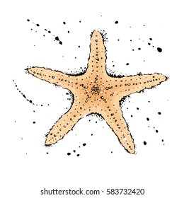 starfish.  Hand drawn vector illustration in watercolor style.