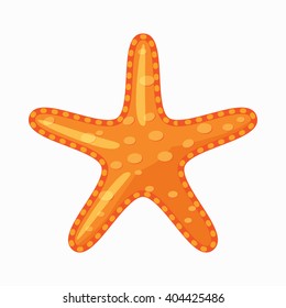 Starfish icon