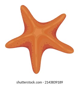 starfish icon flat white background